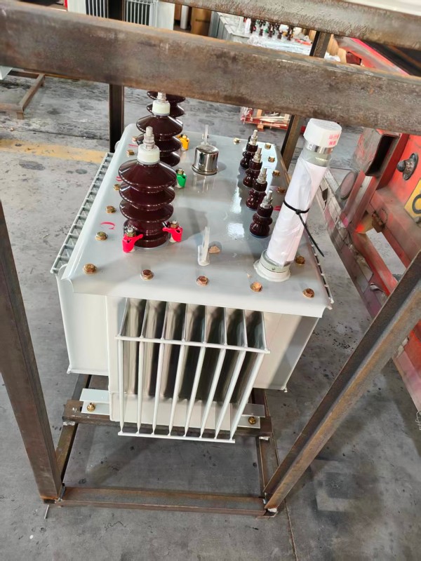 S13‑1000kVA 确山确山确山油浸式变压器 大型厂区 S13 确山确山确山油浸式变压器